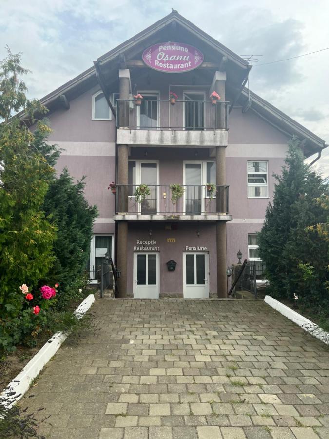 Pensiune Osanu Sibiu Buitenkant foto